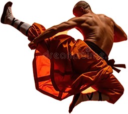 Kung Fu